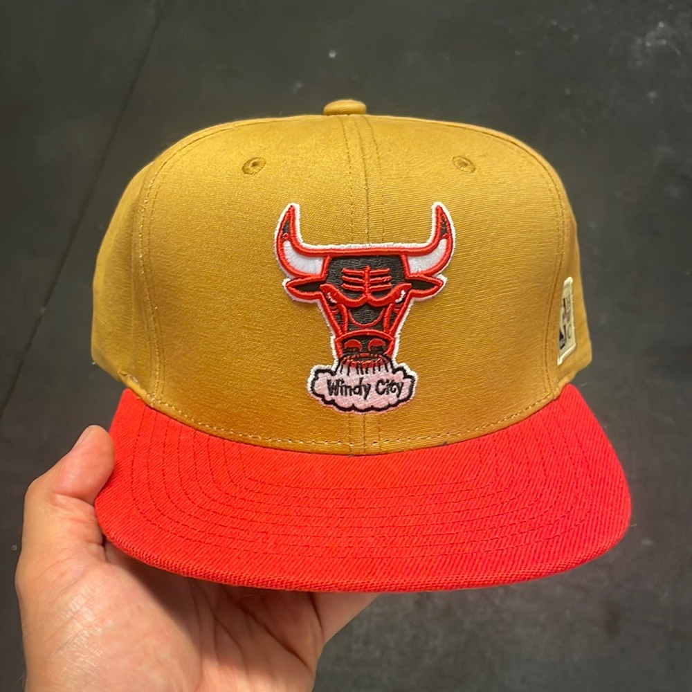 NWT Chicago Bulls SnapBack